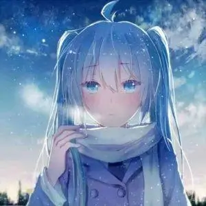用户枫叶红了的头像